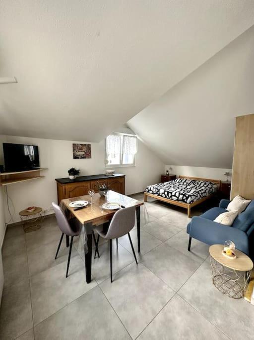 Studio Tout Equipe Aux Pieds Des Vosges Leimbach 外观 照片